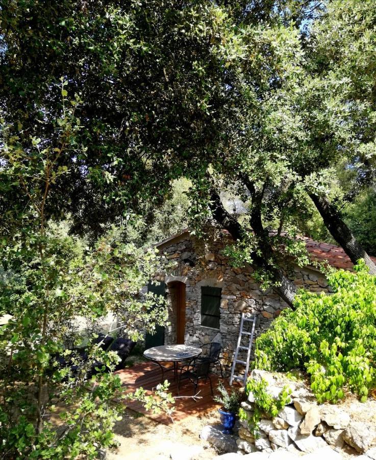 Les Cabanons Sainte Victoire Saint-Marc-Jaumegarde Exterior foto